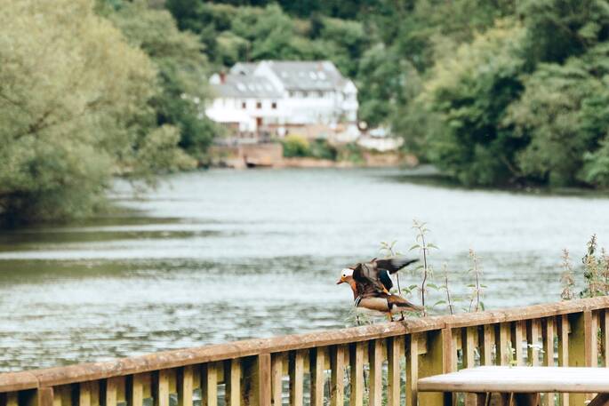 River Wye