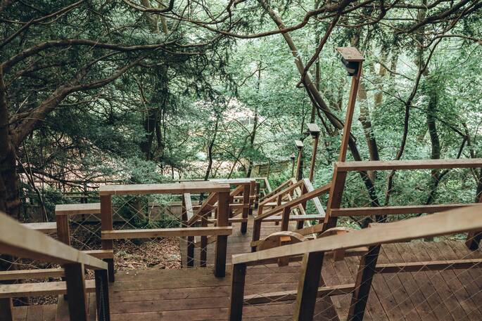 Steps up to the treehouse
