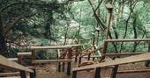 Steps up to the treehouse
