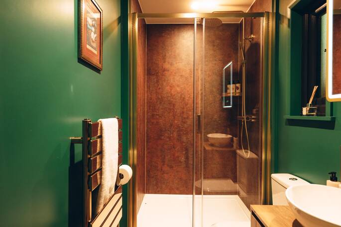 Bathroom with a walk in shower, sink and flushing toilet