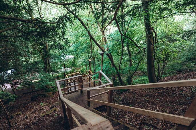 Steps up to treehouse