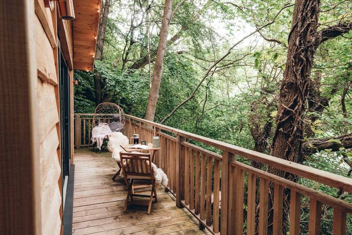 View from the treehouse
