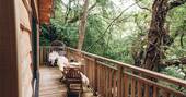 View from the treehouse