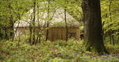 Exterior shot of Birch yurt at Adhurst, Hampshire