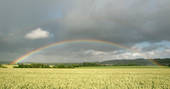 The rainbow at Beacon, Wriggly Tin in Dorset
