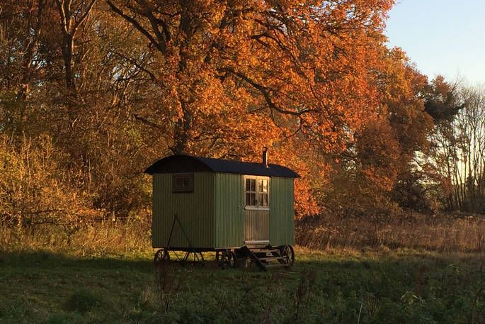 Boundary, the shepherd’s hut, in front of autumnal trees at Wriggly Tin in Hampshire 