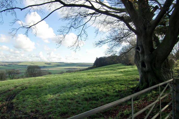 The Downs gate, Butser in Hampshire