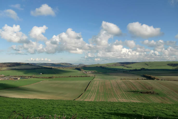 The Downs, Butser in Hampshire