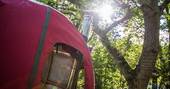 brook house woods tree tent tree house holiday herefordshire treehouse glamping exterior sun through the trees