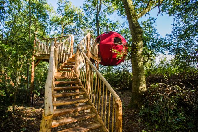 goji tree tent herefordshire central england uk glamping ancient woodland stairway to treehouse