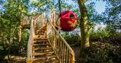 goji tree tent herefordshire central england uk glamping ancient woodland stairway to treehouse