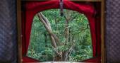 goji brook house woods treehouse herefordshire welsh border tree house holiday woodland view from tree tent windows