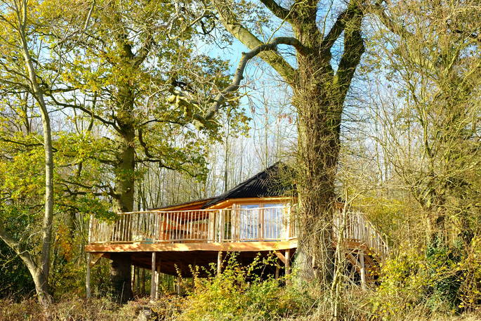 venn tree cabin herefordshire woodland  treehouse holidays england uk glamping exterior view through the trees