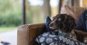 Rowan Cabin - dog friendly, Clifford, Hereford, Herefordshire - photo by Alex Treadway