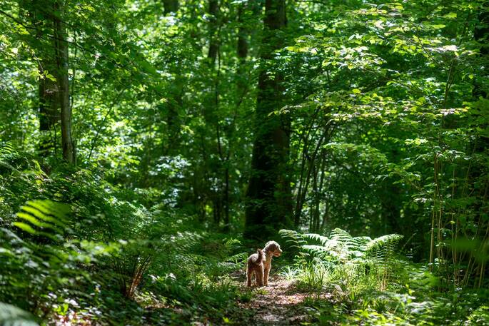 Exterior shot and trees