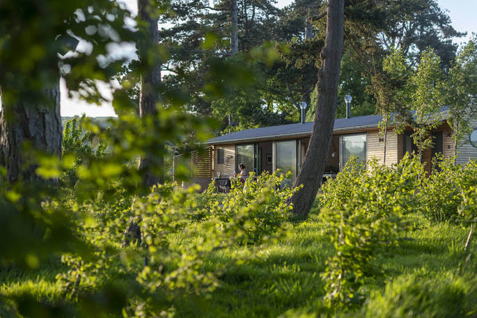 Willow Cabin in the woods, Clifford, Hereford, Herefordshire, England - by Alex Treadway