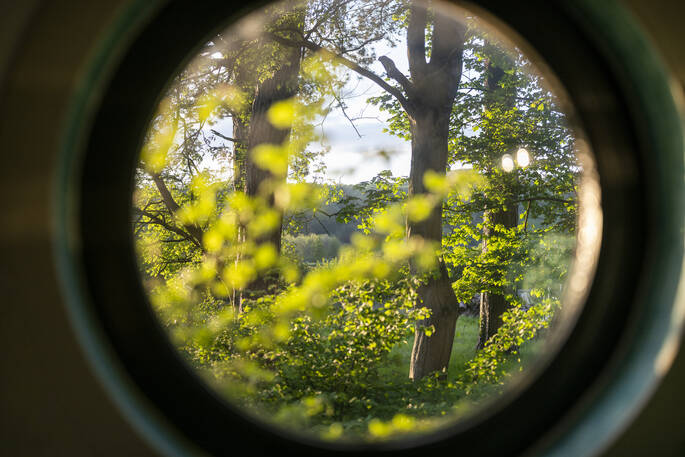 Window view 