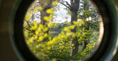 Window view 