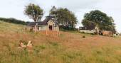 Cat's back is next to another cabin approx. 30m away