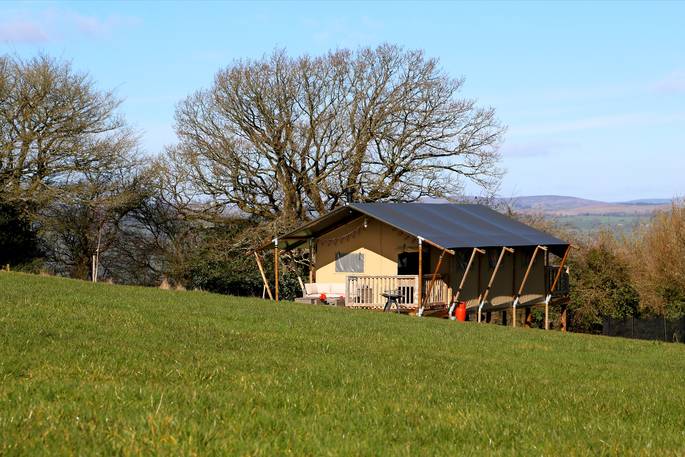 Ramming Ewe safari tent in Drover’s Rest farm and meadow in Herefordshire 