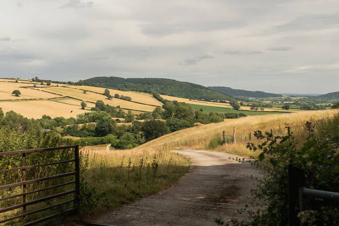Path through fields