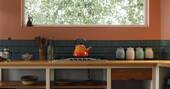 6 - kitchen equipped with a four ring hob, kittle, undercounter fridge and cooking utensils