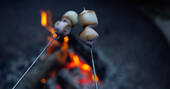 Enjoy marshmallows over the firepit