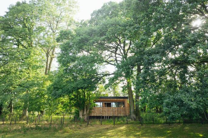 Cabin through the trees