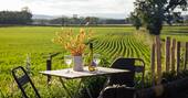 14 Outdoor dining