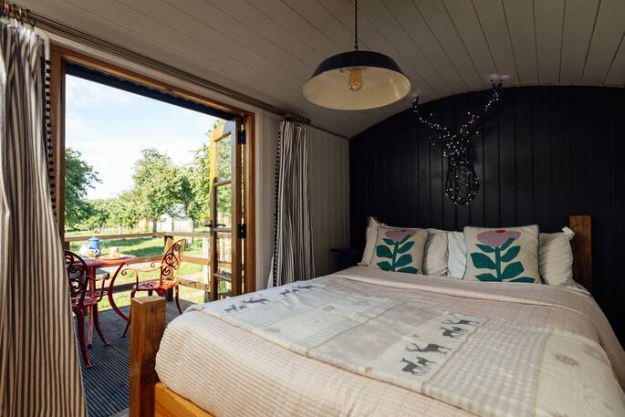 19 Bed