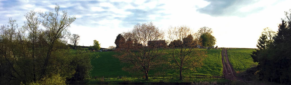 Nicholson Farm estate 