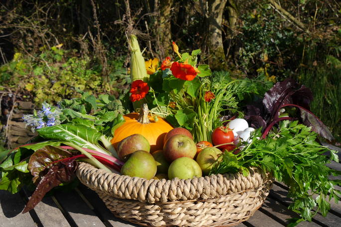 Seasonal fruit, vegetables and flowers from On the Hill smallholding in Herefordshire