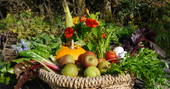 Seasonal fruit, vegetables and flowers from On the Hill smallholding in Herefordshire