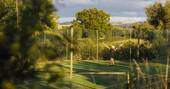 Tennis court available to hire