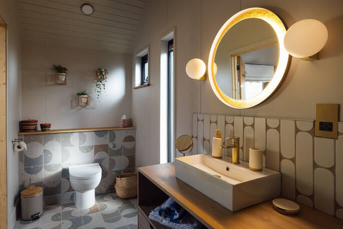 Shower and flushing toilet in the bathroom