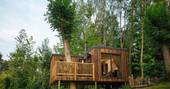 the-rook-s-nook-treehouse-exterior-the-rookery-woods-bromyard-herefordshire_1024_widecopy