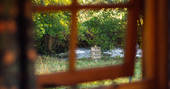 Millie the Hut shepherd's hut view from the inside to the river, Wegnalls Mill, Presteigne, Herefordshire - Owen Howells Photography
