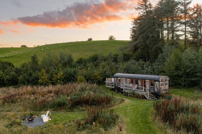 Wilding Wagon sunset