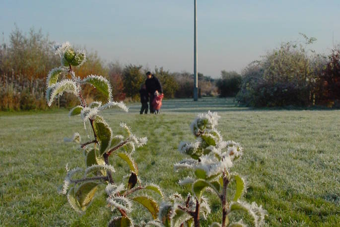 the coppice woodland camp guilden gate wind turbine