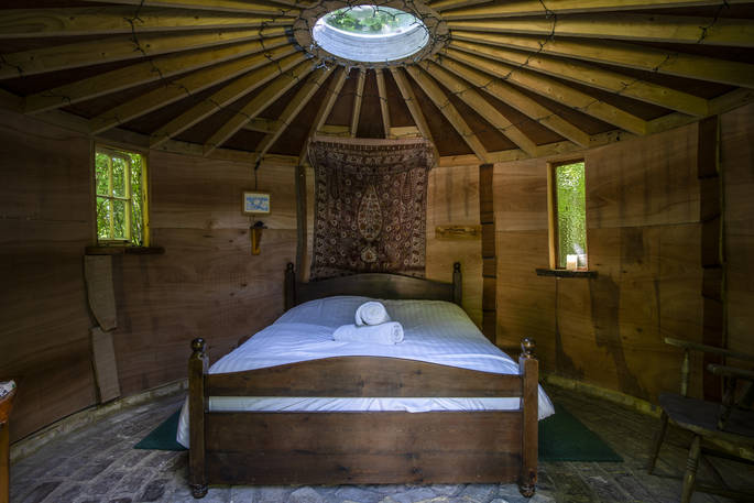 woodland_coppice_009