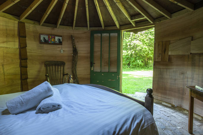 woodland_coppice_017