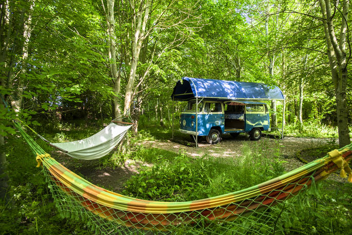 woodland_coppice_034