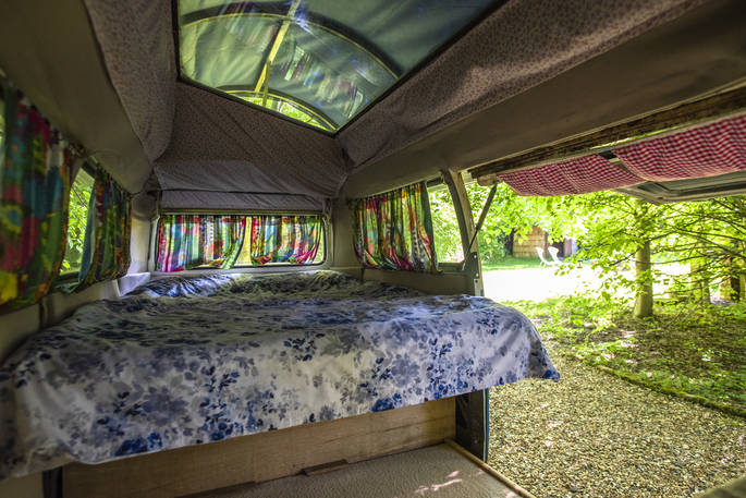 woodland_coppice_041