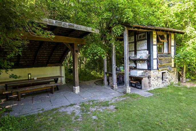 woodland_coppice_045