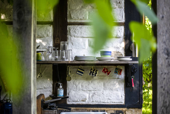 woodland_coppice_050