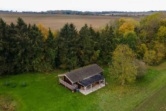 Woodland behind Meads Cabin