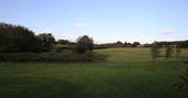 Views of the fields near The Lodge Treehouse in Kent 