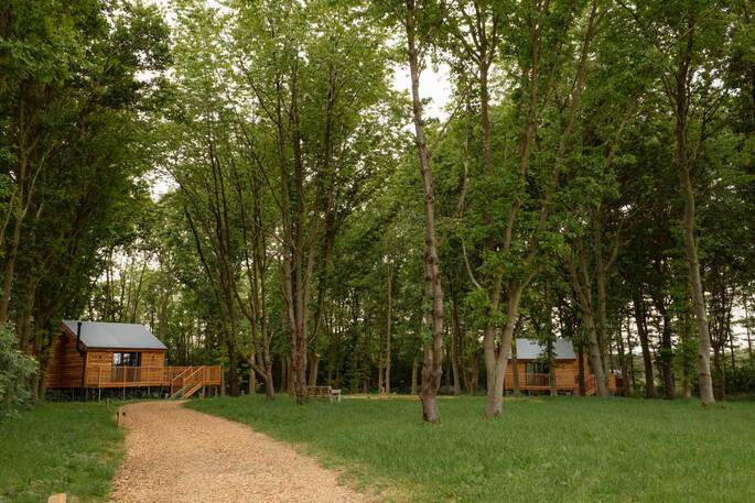 Cherry Nest and Fir Roost