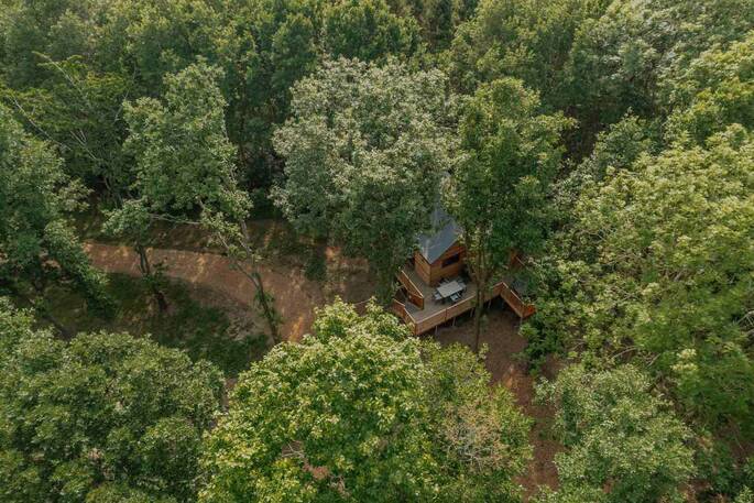 Cherry Nest from above