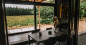 Box & Birch Dining view